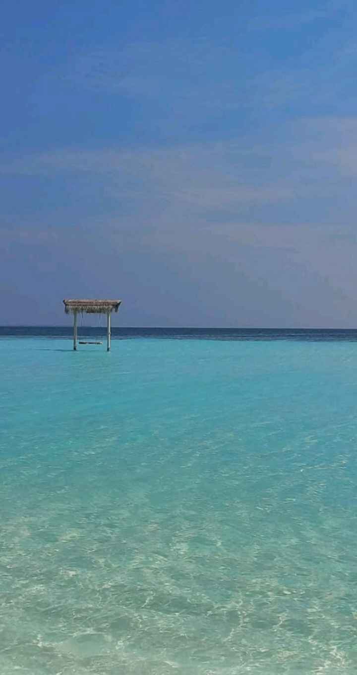 Viaggio di Nozze 🌏 ✈ - 2