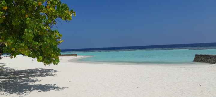 Viaggio di Nozze 🌏 ✈ - 4