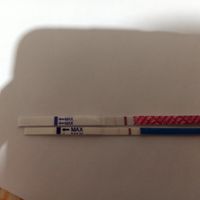 Chi non le aspetta per Aprile 2020 - 1