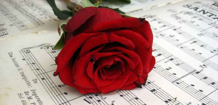 rosa e spartito