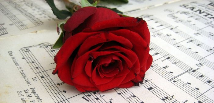rosa e spartito