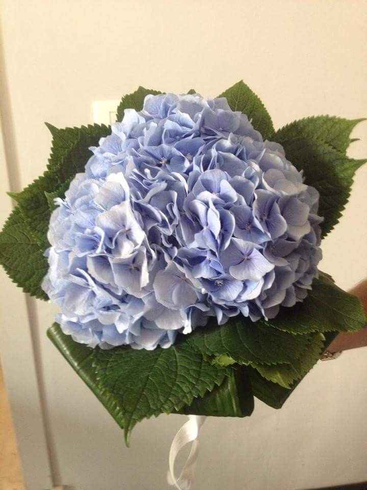 bouquet uscita sposa, ortensie azzurre