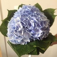 bouquet uscita sposa, ortensie azzurre