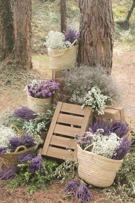 lavanda e gypsophila