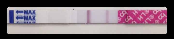 Test ovulazione come test precoce gravidanza.. 11