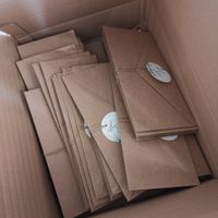 Partecipazioni in carta piantabile fai da te - 1