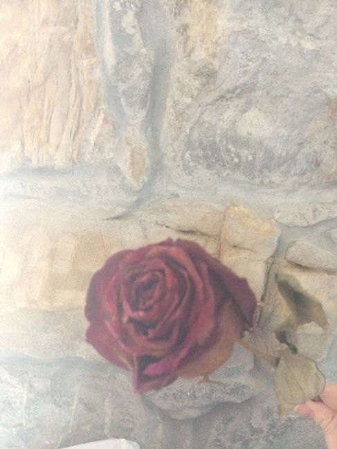 Conservare bouquet? - 2