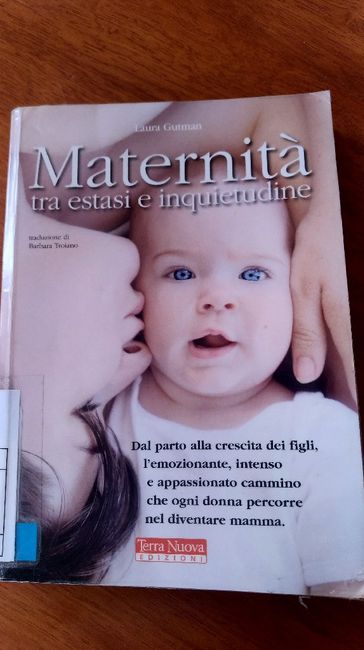 Maternità - tra estasi e inquietudine, un libro davvero utile - 1