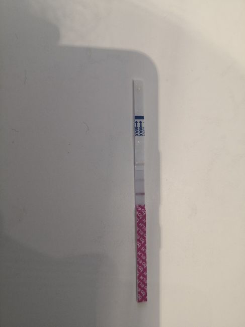 Test ovulazione-gravidanza 3