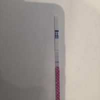 Test ovulazione come test precoce gravidanza.. - 1