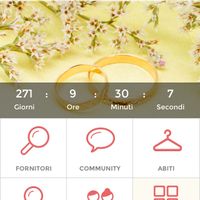 Quanto manca alle vostre nozze? - 1