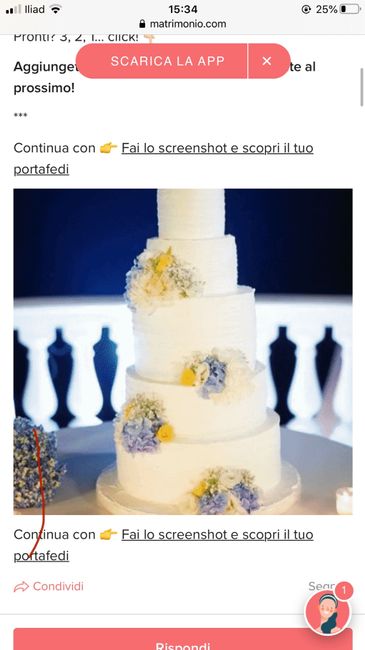 Fai lo screenshot e scopri la tua torta nuziale - 1