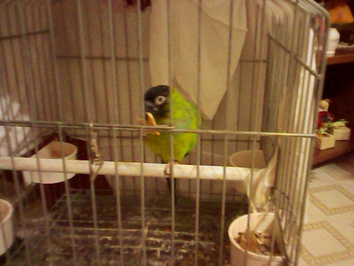 Too cute: i vostri amici animali - 4