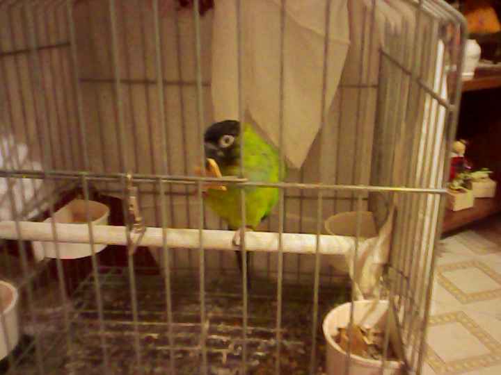 Too cute: i vostri amici animali - 4