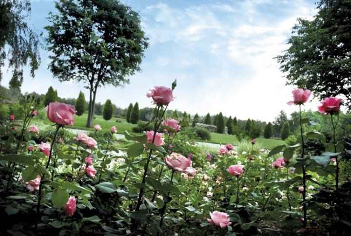  La mia location 😍 - 4