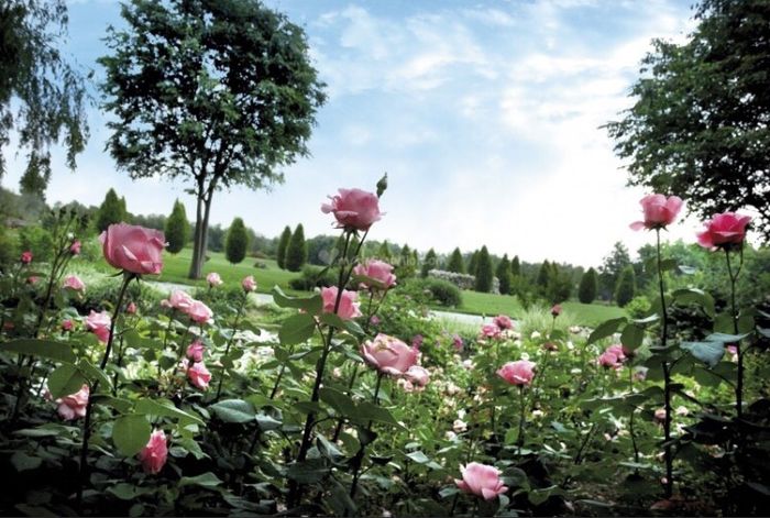  La mia location 😍 - 4