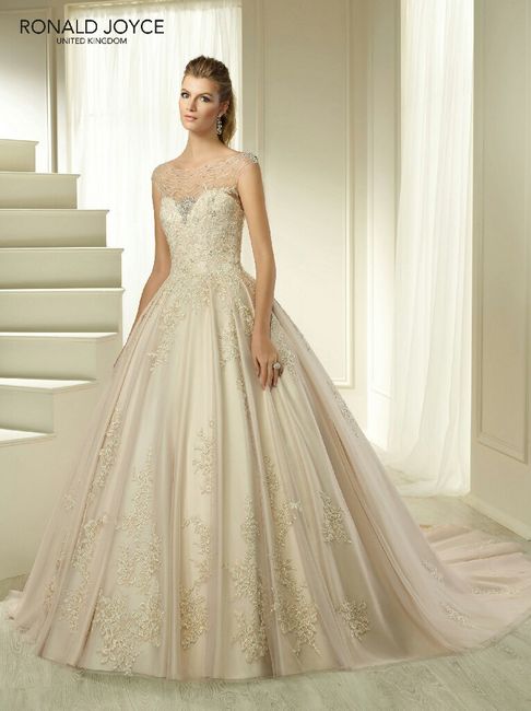 Ronald joyce 2018 - 2