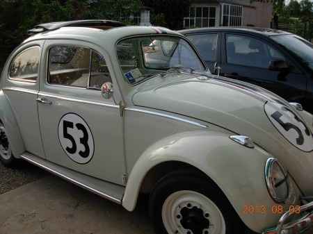 herbie