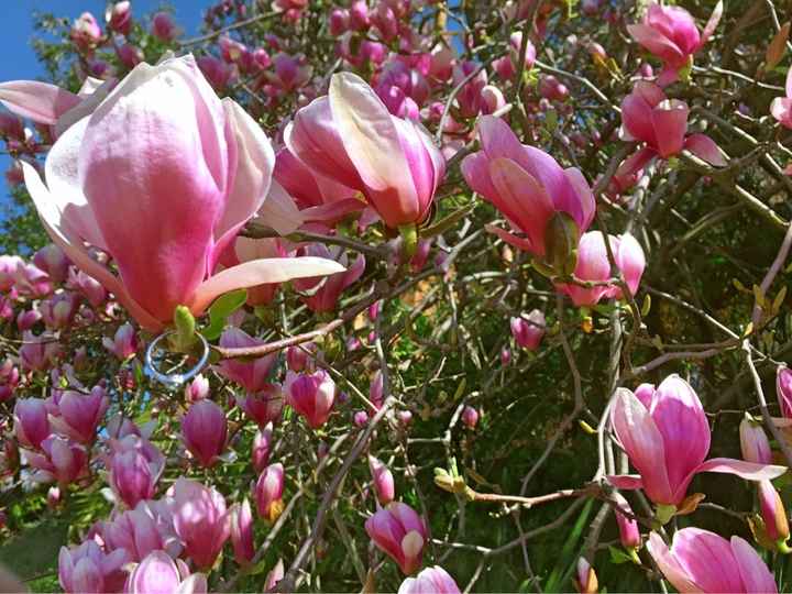 Giornata stupenda!!! - 1