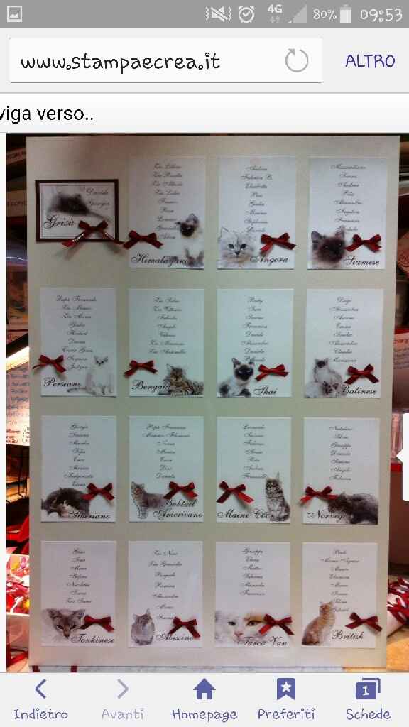 Partecipazioni miciose - 1