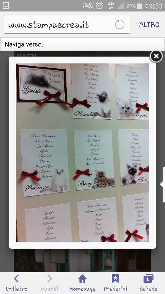 Partecipazioni miciose - 2