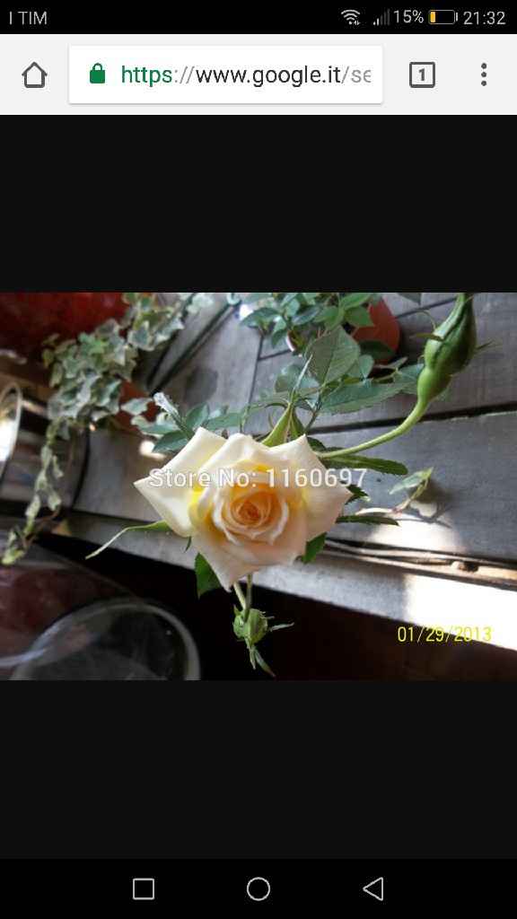 Fiori per colore - il giallo e l'arancione - 2