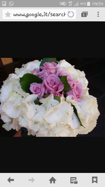 Quale vi piace di più? - 1