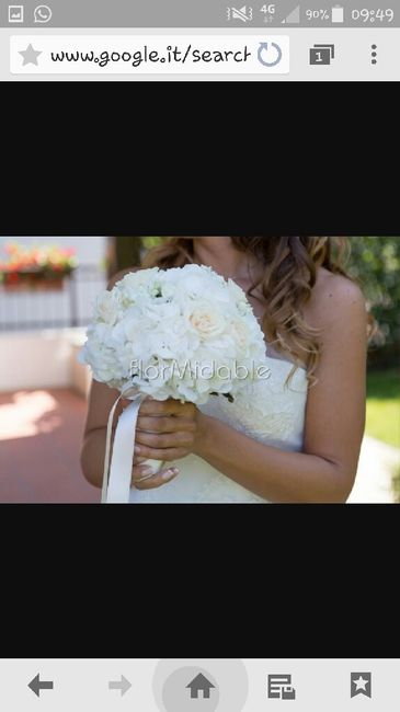 Quale vi piace di più? - 2