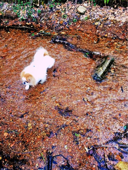 Benvenuta primavera - 1