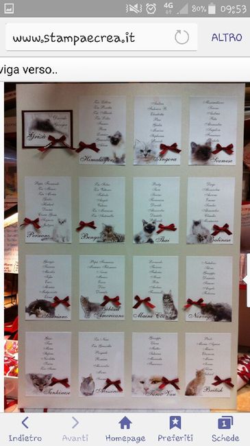 Partecipazioni miciose - 1