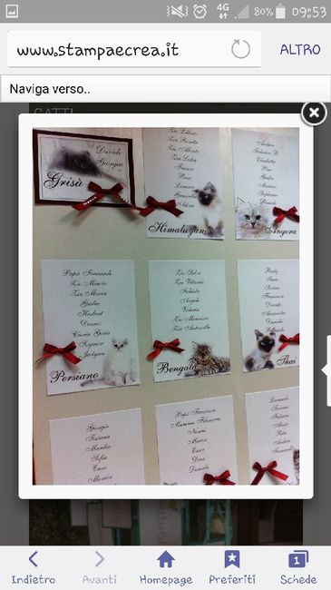 Partecipazioni miciose - 2