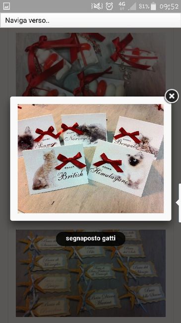 Partecipazioni miciose - 3