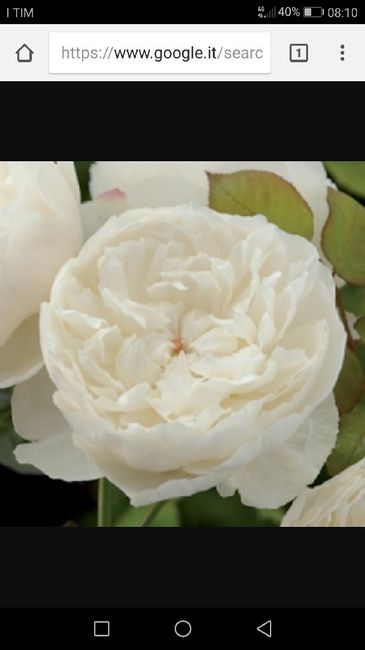 E voi con che fiori andrete all'altare? - 1