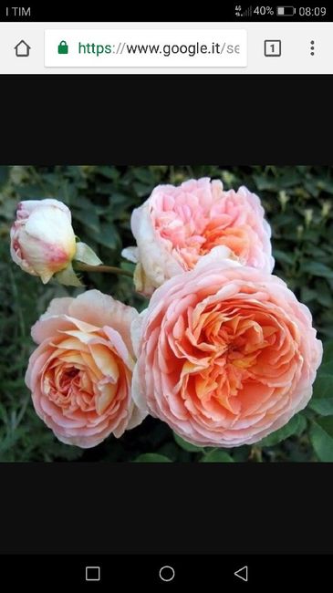 E voi con che fiori andrete all'altare? - 2