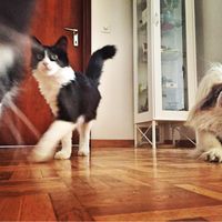 ...e non penso più al matrimonio... - 1