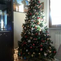 Il vostro albero di natale! - 1