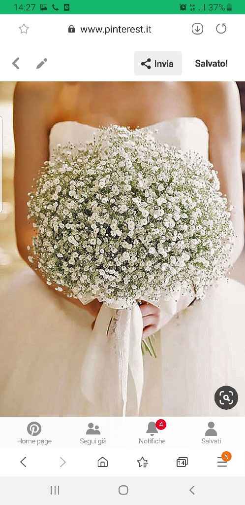 Consigli:nebbiolina! - 1