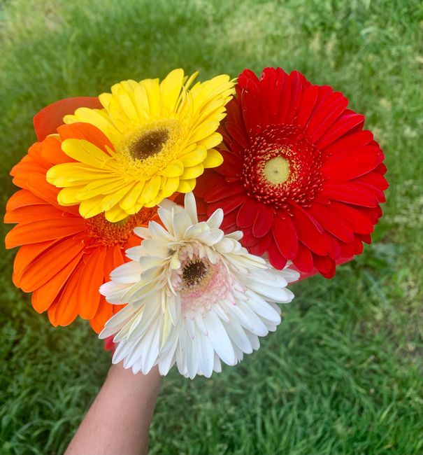 Pubblicazioni in comune fatteeeee!!! 1