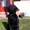 Martina