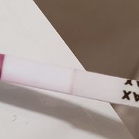 Per chi non le aspetta per febbraio 2020 - 1