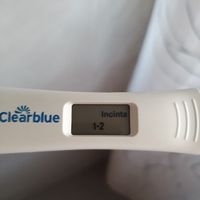 Per chi non le aspetta per febbraio 2020 - 1