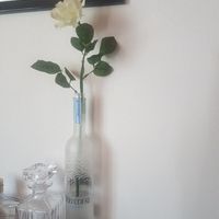 Tableau tema cocktail - 1