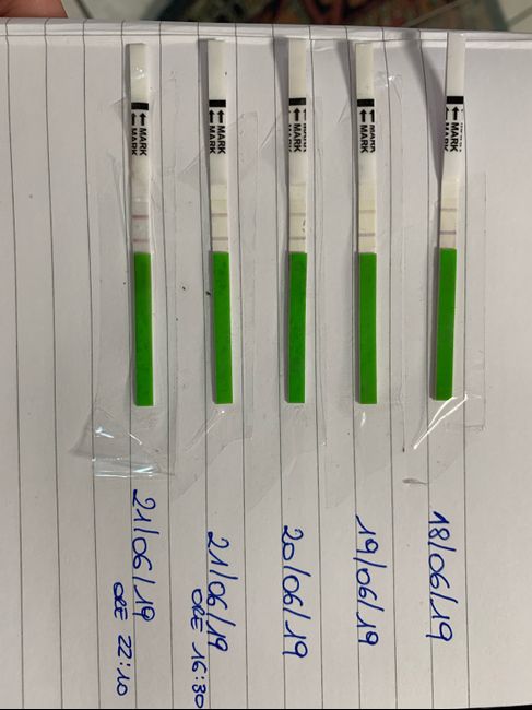 Interpretazione stick ovulazione...help! - 1