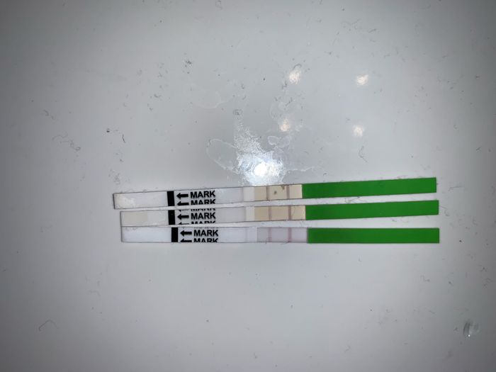 Test ovulazione come test gravidanza 1