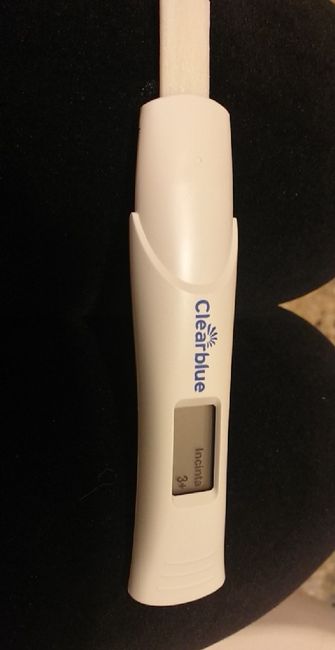 Non riesco a credere 