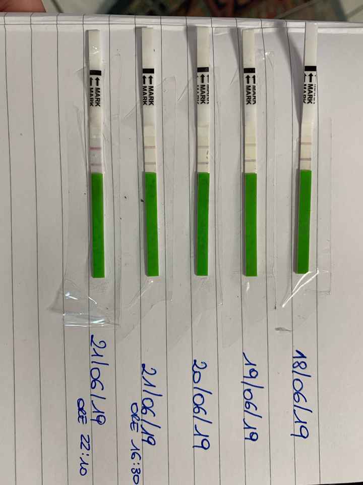 Interpretazione stick ovulazione...help! - 1