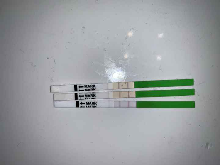 Test ovulazione come test gravidanza - 1