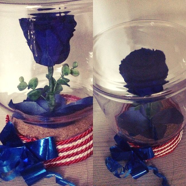  Tema " la bella e la bestia " - 1