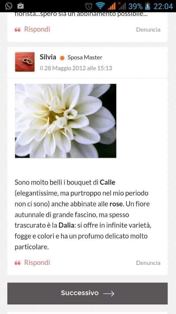 Bouquet di peonie - 1