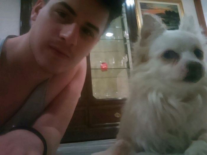 I nostri amici a quattro zampe .... - 1